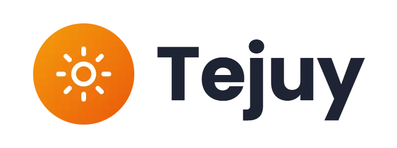 Tejuy logo concept: a sun icon beside the Tejuy wordmark